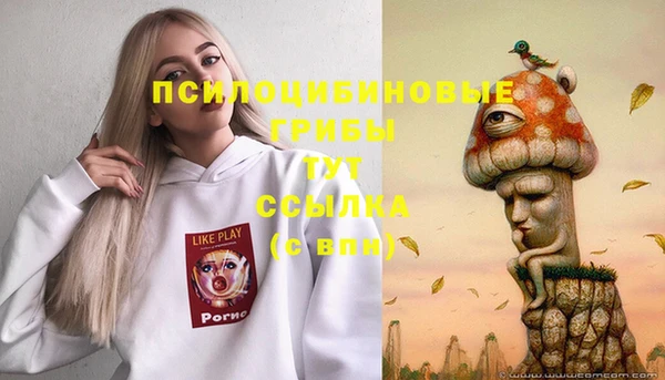 прущий лед Богородицк
