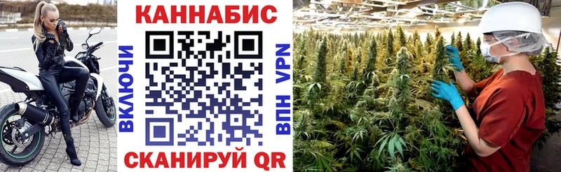 где купить наркоту  Светогорск  Конопля тримм 